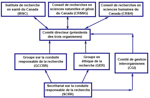 Structure organisationelle